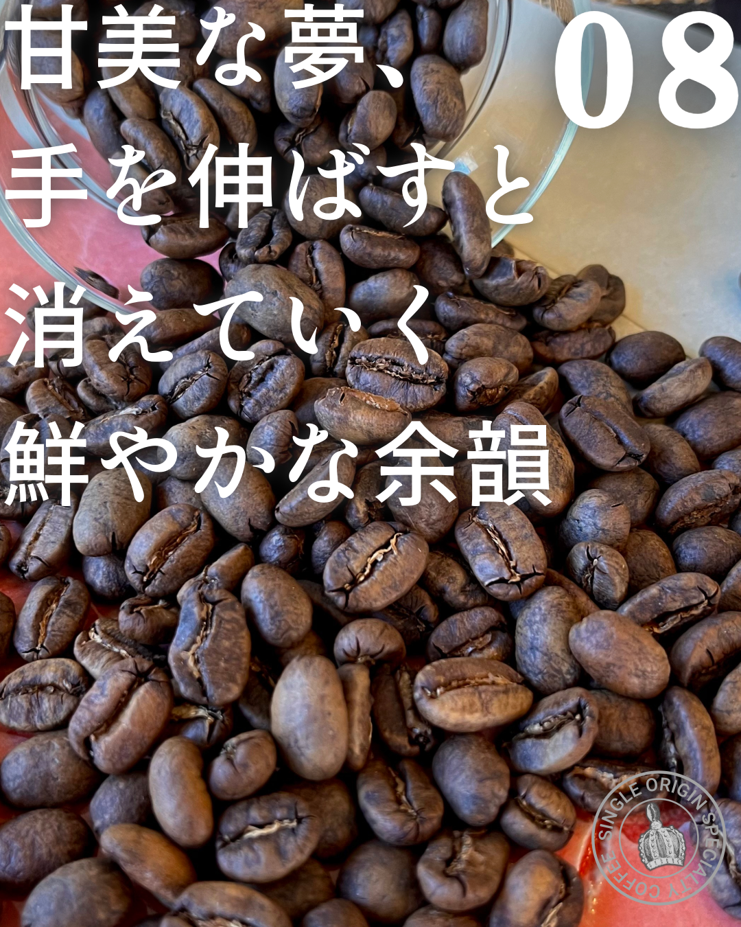 終売【豆】08インドネシア セントラルスマトラコーヒー ウェットハル